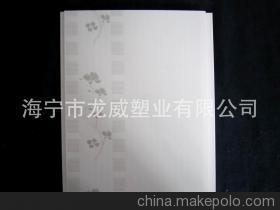 【高品质pvc ceiling 装修材料】价格,厂家,图片,其他吊顶材料,海宁市龙威塑业-